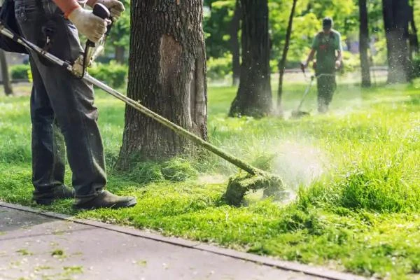 Lawn Care Services